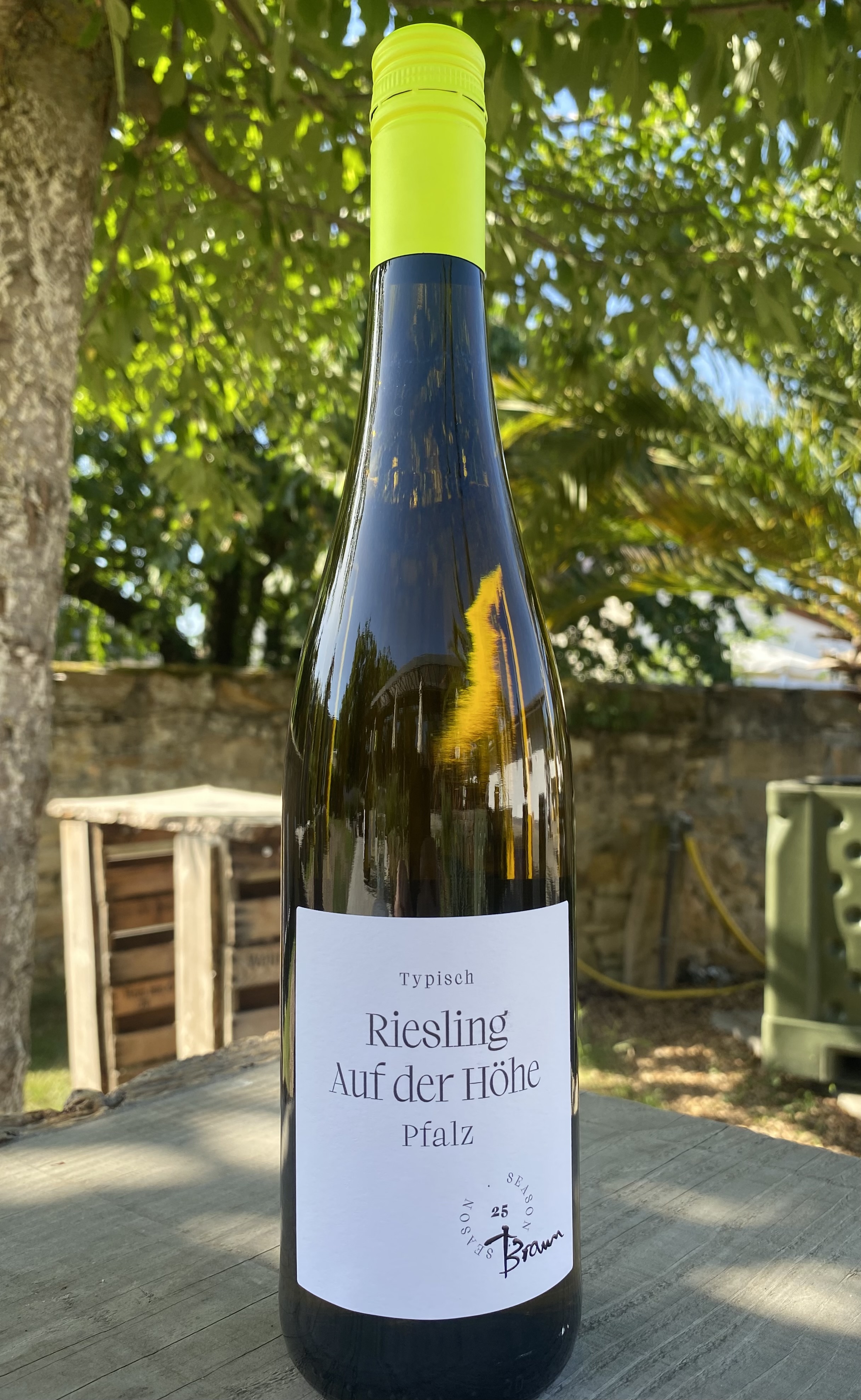 Riesling "Auf der Höhe"